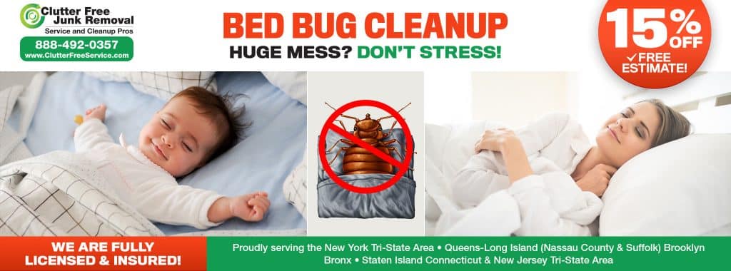bed bugs cleaning